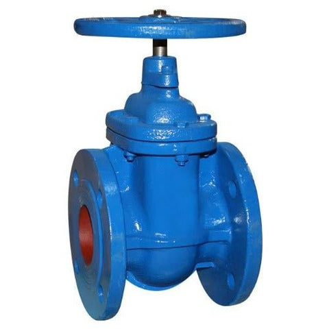 Cast Iron Gate Valve - Flanged PN16