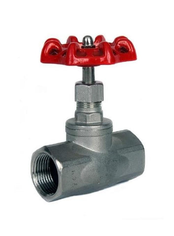 Stainless Steel 316 BSPP Globe Valve